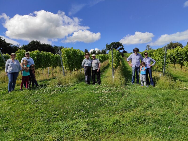 tamar vlley vineyard autumn in east cornwall